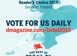 THE BEST OF BIG D 2015 NOMINATIONS